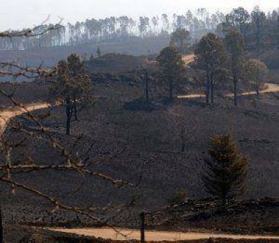 Volvieron los incendios a las Sierras de C�rdoba