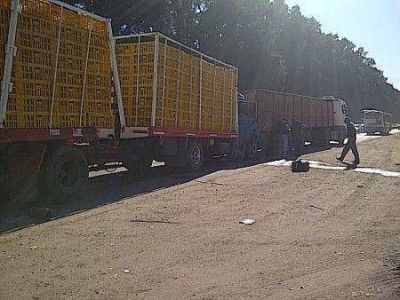 Chocan dos camiones en Ruta 5 camino a Luj�n