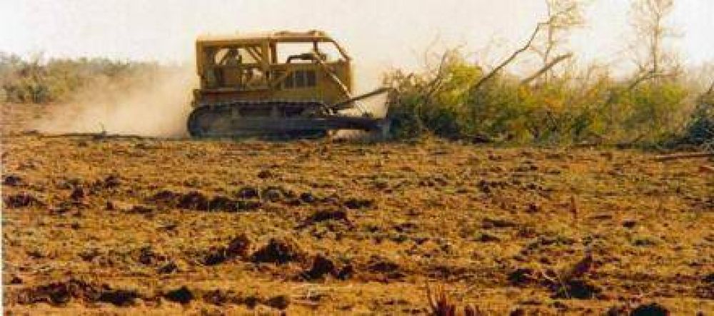 Emergencia agropecuaria: Los fondos llegar�n a la provincia la semana que viene 