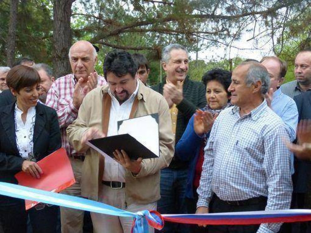 Closs anunci� la revisi�n de criterios de tributaci�n de empresas forestales
