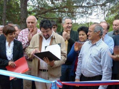 Closs anunci� la revisi�n de criterios de tributaci�n de empresas forestales