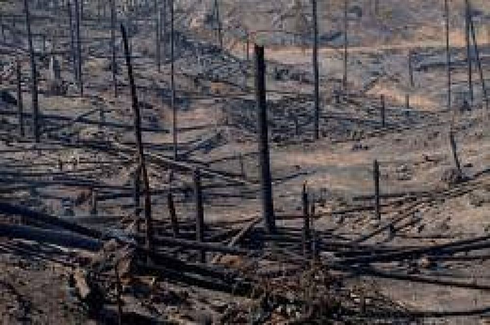 Anuncian un programa de ayuda para las localidades afectadas por incendios