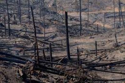 Anuncian un programa de ayuda para las localidades afectadas por incendios
