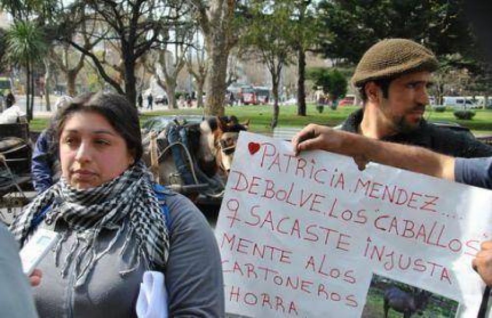Ins�lita protesta de cartoneros: reclamaron devoluci�n de yegua secuestrada por la ONG �Reino Animal� 