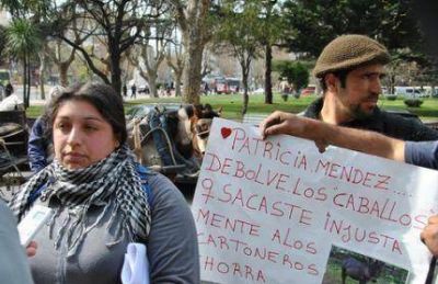 Ins�lita protesta de cartoneros: reclamaron devoluci�n de yegua secuestrada por la ONG �Reino Animal� 