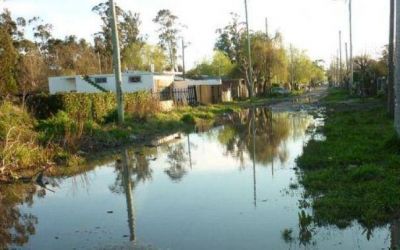Una laguna en pleno barrio Parque Palermo