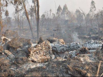 Entregaron fondos para proteger los bosques nativos