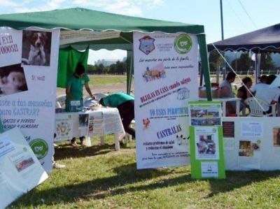 Un hombre fue procesado en Ca�ada de G�mez por matar a un perro de dos disparos