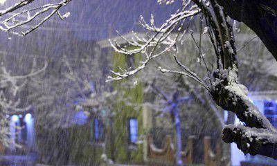 Suspenden el recital de Ciro y Los Persas y cortan rutas por nieve en Luj�n, Valle de Uco y el sur