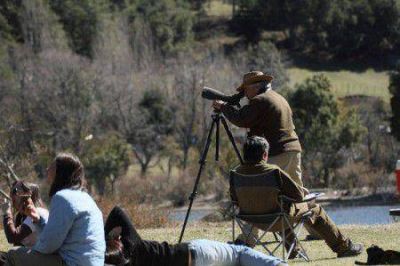 Hoy ser� la apertura de la temporada de observaci�n de aves