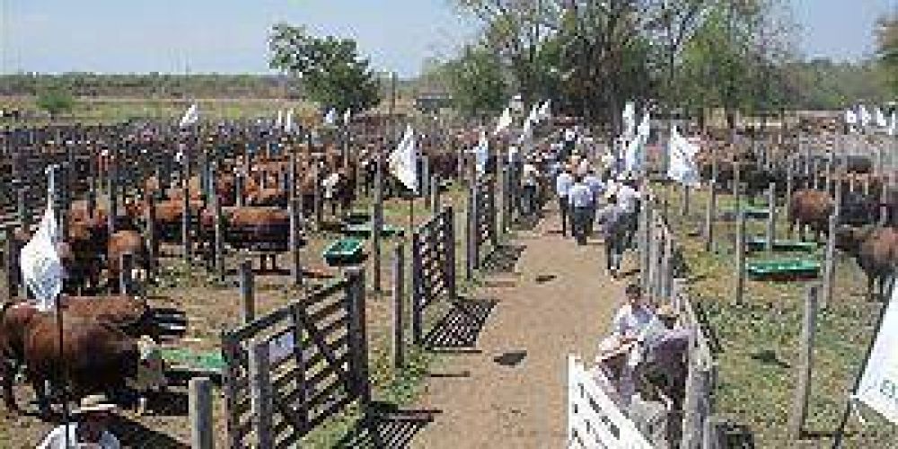 El Remate super� todas las expectativas