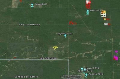 Desmontes ilegales: insisten en que Bosques �falla en los controles preventivos�