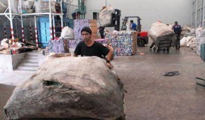 Asignan zonas de recolecci�n para cartoneros