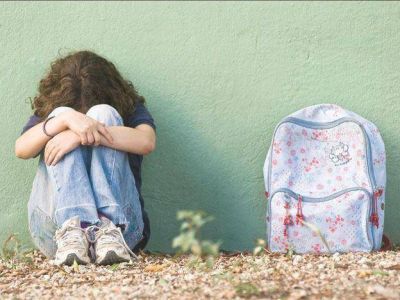 Bullying, m�s claro y violento en la primaria que en la secundaria