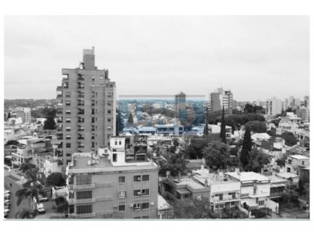 En 10 a�os creci� un tercio la superficie cubierta de Entre R�os