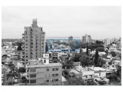 En 10 a�os creci� un tercio la superficie cubierta de Entre R�os