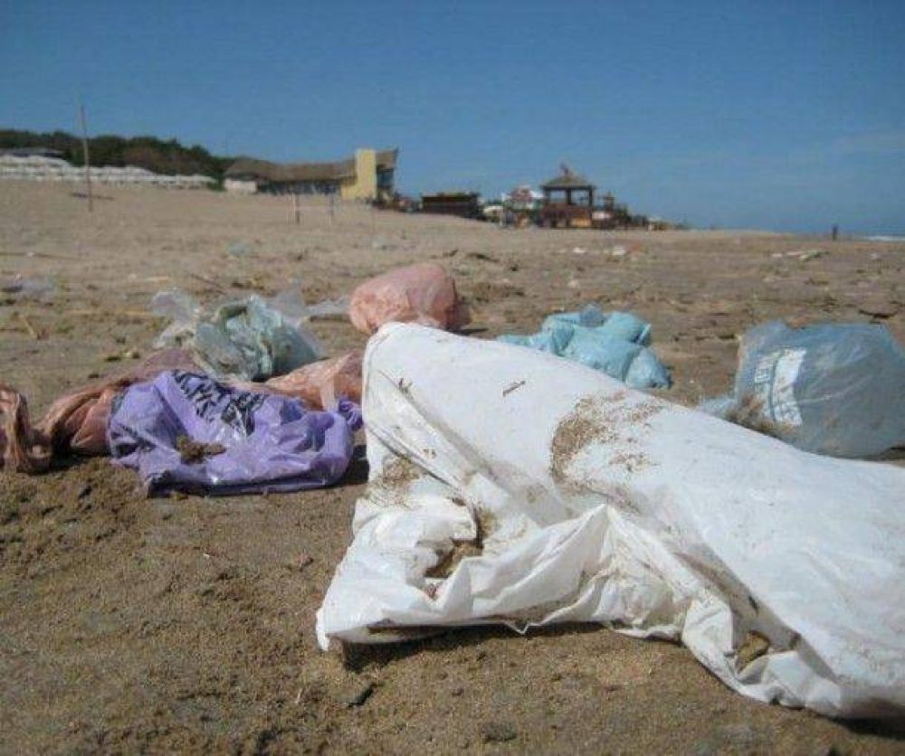 Realizarn limpieza de playa en Punta Mogotes