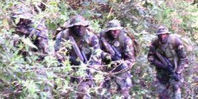 Cada tres d�as detectan un avi�n �narco�