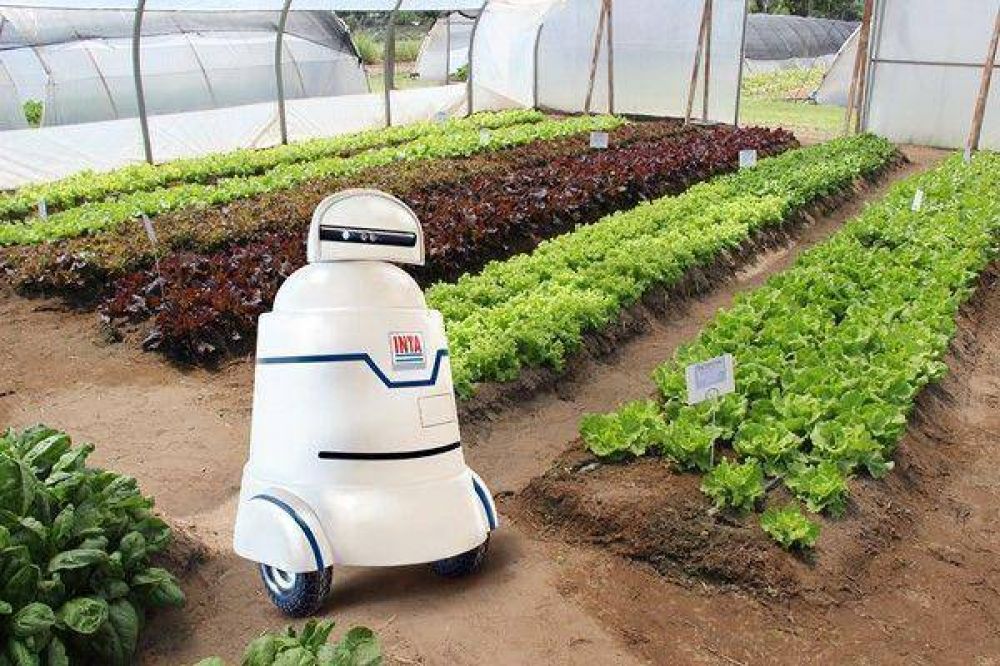 Un pampeano desarroll� un robot