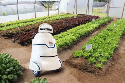 Un pampeano desarroll� un robot