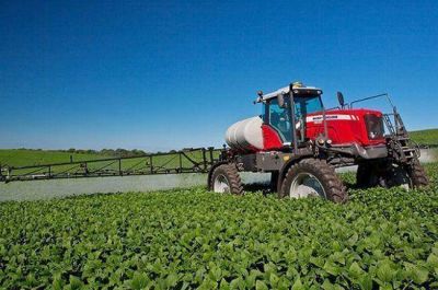 Agrot�xicos: un apicultor denunci� una nueva fumigaci�n ilegal