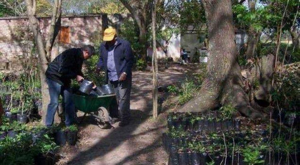 El Senasa destruy� 939 plantas de c�tricos y mirto