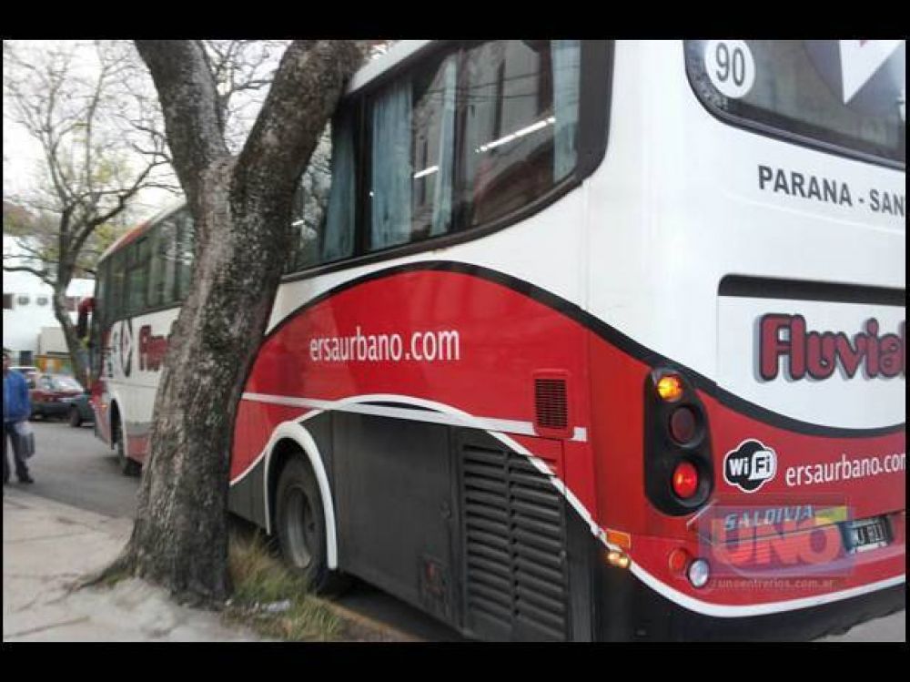 Un Fluviales se ator� con una rama y autos mal estacionados