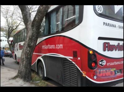 Un Fluviales se ator� con una rama y autos mal estacionados