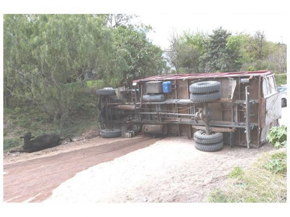Volc� un cami�n que transportaba vacunos