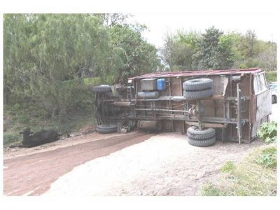 Volc� un cami�n que transportaba vacunos