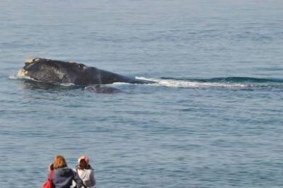 Excursiones gratuitas al �rea natural protegida El Doradillo