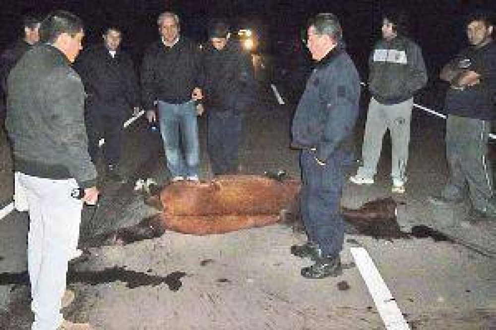 Polic�a fracturado y una mujer desfigurada tras chocar un caballo suelto en la ruta