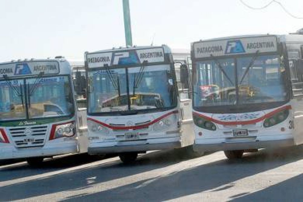 Instalaron c�maras de seguridad como �prueba piloto� en colectivos urbanos