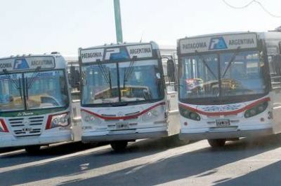 Instalaron c�maras de seguridad como �prueba piloto� en colectivos urbanos