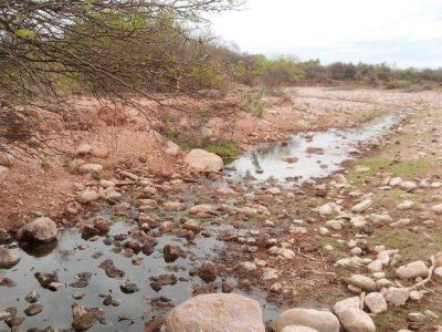 Muerte de ganado debido a la prolongada sequ�a