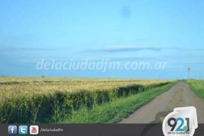 Producci�n Municipal inscribe para el Plan Verdeos de Verano