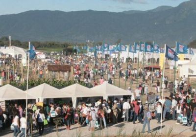 Siete experimentales estar�n presentes en INTA Expone