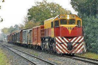 Una rama se incrust� en la cabina de un tren y mat� al maquinista, vecino de Clodomira