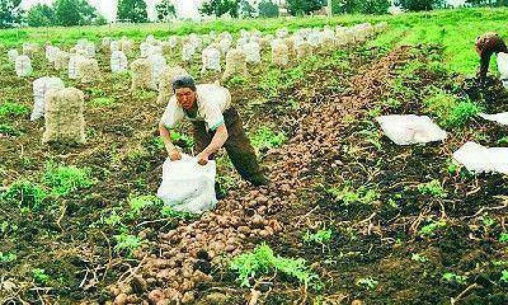 Por el agro, llega a Jun�n la oposici�n pol�tica nacional