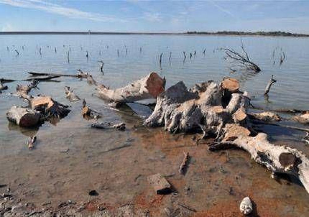 Extrajeron rboles secos que estaban sumergidos en el dique El Carrizal