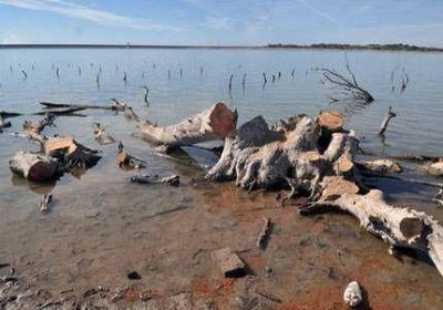 Extrajeron �rboles secos que estaban sumergidos en el dique El Carrizal