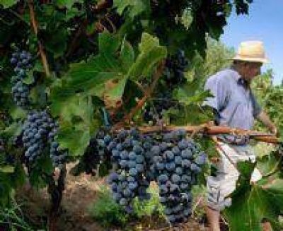 Tarija escogi� Salta para la presentaci�n del XIV Congreso Latinoamericano de Viticultura y Enolog�a