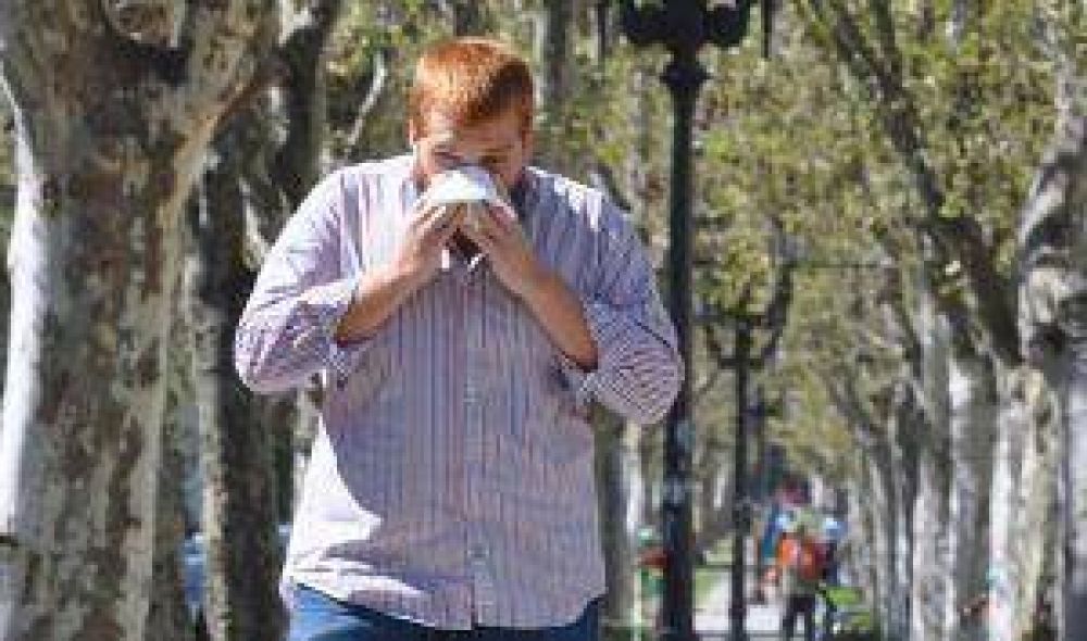Crecieron un 20 por ciento las consultas por alergias y enfermedades respiratorias