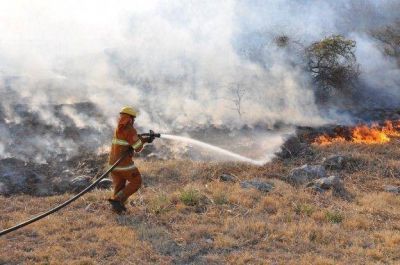 C�rdoba: Los incendios, una gran cat�strofe ambiental