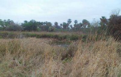 Conmoci�n en Plaza por el hallazgo del cad�ver de un hombre en un canal, cerca de la ruta provincial 7
