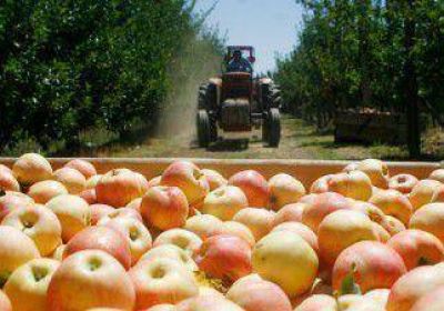Los rusos pierden el inter�s por las manzanas argentinas