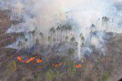 Alerta por posibles incendios forestales
