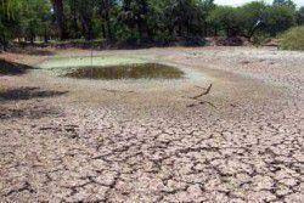 El mercado agropecuario chaque�o atravesado por una hist�rica sequ�a
