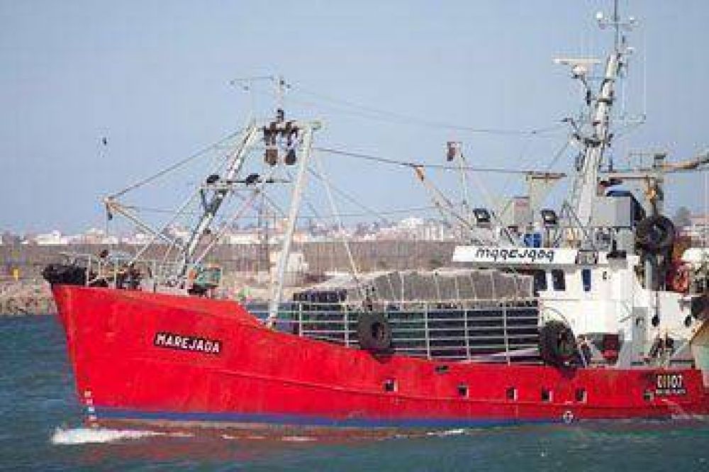La pesca da fuertes signos de recuperaci�n