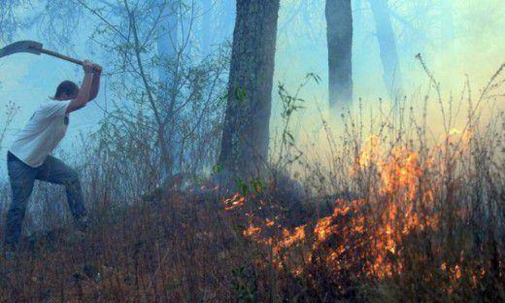 Afirman que en t�rminos reales, el gasto disminuy� en los �ltimos dos a�os